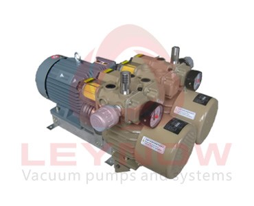 LX 0050 H26 Rotary vane oil-free vacuum pump